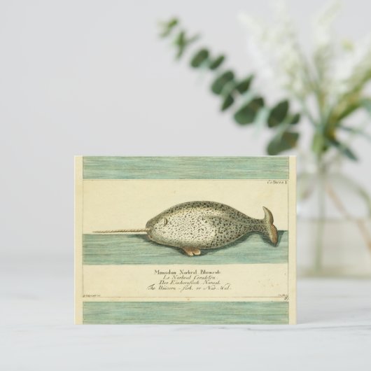 Narwhal Antiek walvis Waterverf Scientific Art Briefkaart (Staand voorkant)