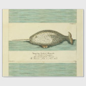 Narwhal Antiek walvis Waterverf Scientific Art Cadeaupapier (Vlak)