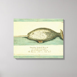 Narwhal Antiek walvis Waterverf Scientific Art Canvas Afdruk