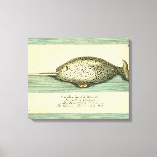 Narwhal Antiek walvis Waterverf Scientific Art Canvas Afdruk (Voorkant)