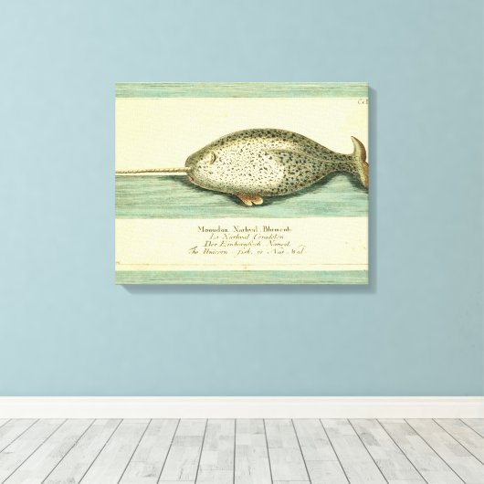 Narwhal Antiek walvis Waterverf Scientific Art Canvas Afdruk (Insitu (Houten vloer))