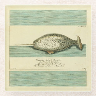 Narwhal Antiek walvis Waterverf Scientific Art Glazen Onderzetter