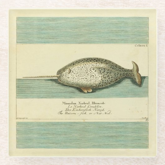 Narwhal Antiek walvis Waterverf Scientific Art Glazen Onderzetter (Voorkant)