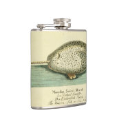 Narwhal Antiek walvis Waterverf Scientific Art Heupfles (Rechts)