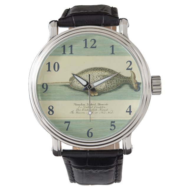Narwhal Antiek walvis Waterverf Scientific Art Horloge (Voorkant)