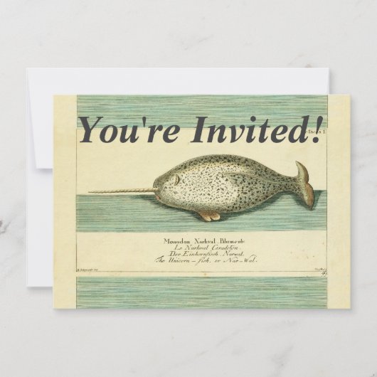 Narwhal Antiek walvis Waterverf Scientific Art Kaart (Voorkant)