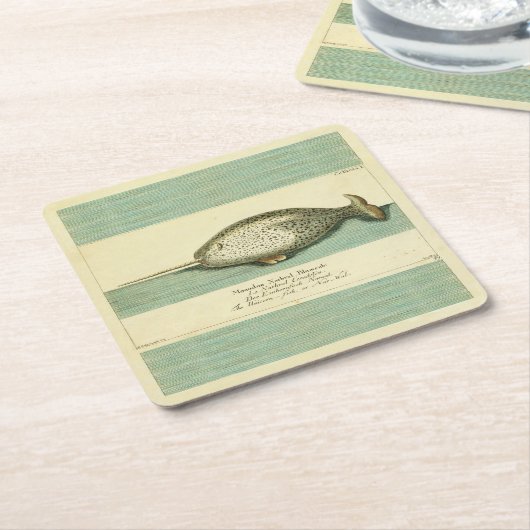 Narwhal Antiek walvis Waterverf Scientific Art Kartonnen Onderzetters (Schuin)