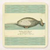 Narwhal Antiek walvis Waterverf Scientific Art Kartonnen Onderzetters (Voorkant)