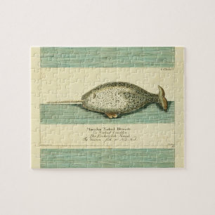 Narwhal Antiek walvis Waterverf Scientific Art Legpuzzel