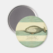 Narwhal Antiek walvis Waterverf Scientific Art Magneet (Voorkant / Achterkant)