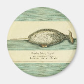 Narwhal Antiek walvis Waterverf Scientific Art Magneet (Voorkant)