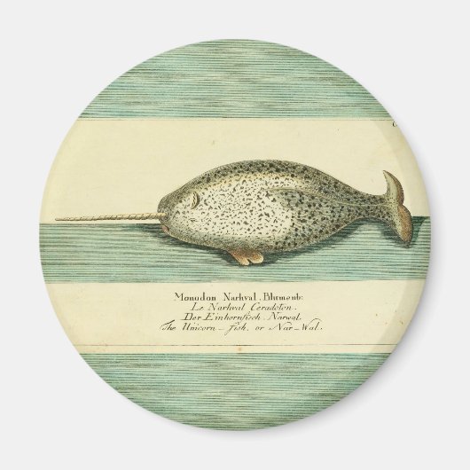 Narwhal Antiek walvis Waterverf Scientific Art Magneet (Voorkant)