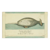 Narwhal Antiek walvis Waterverf Scientific Art Naambadge (Voorkant)