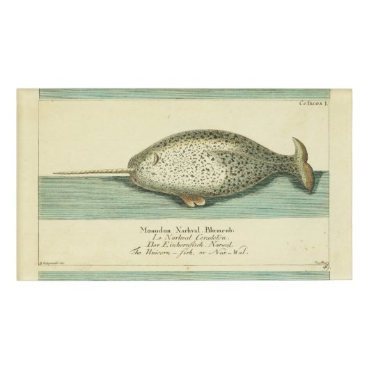 Narwhal Antiek walvis Waterverf Scientific Art Naambadge (Voorkant)