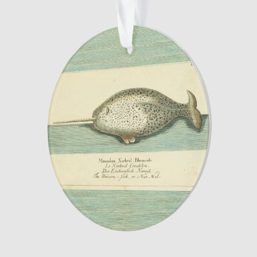Narwhal Antiek walvis Waterverf Scientific Art Ornament (voorkant)