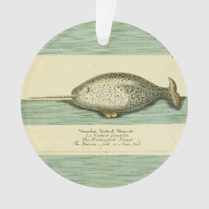 Narwhal Antiek walvis Waterverf Scientific Art Ornament