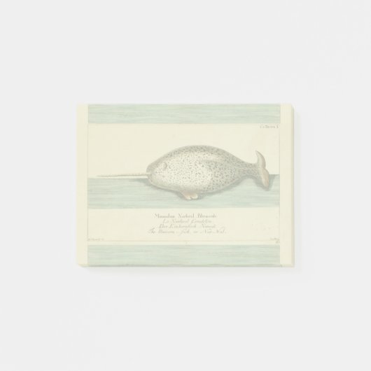Narwhal Antiek walvis Waterverf Scientific Art Post-it® Notes (Voorkant)