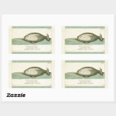 Narwhal Antiek walvis Waterverf Scientific Art Rechthoekige Sticker (Vel)