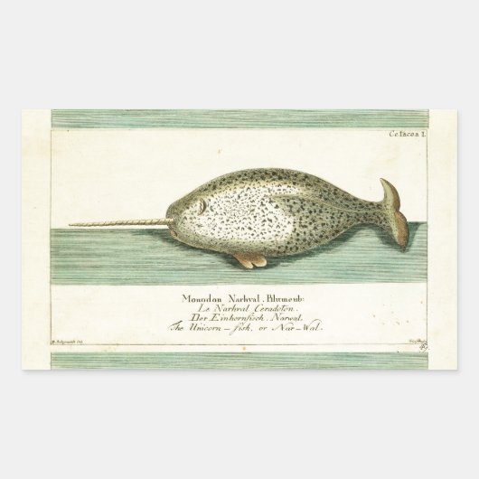 Narwhal Antiek walvis Waterverf Scientific Art Rechthoekige Sticker (Voorkant)