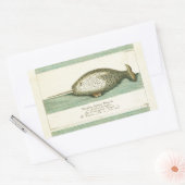 Narwhal Antiek walvis Waterverf Scientific Art Rechthoekige Sticker (Envelop)