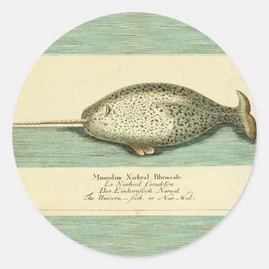 Narwhal Antiek walvis Waterverf Scientific Art Ronde Sticker (Voorkant)