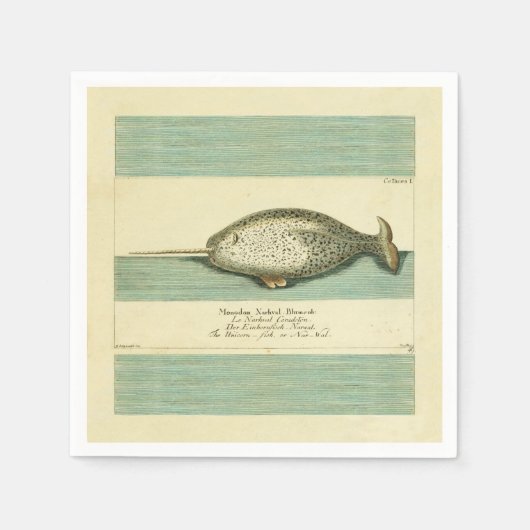 Narwhal Antiek walvis Waterverf Scientific Art Servet (Voorkant)