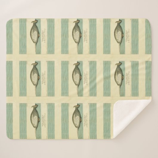 Narwhal Antiek walvis Waterverf Scientific Art Sherpa Deken (Voorkant (horizontaal))