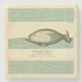 Narwhal Antiek walvis Waterverf Scientific Art Stenen Onderzetter (Voorkant)