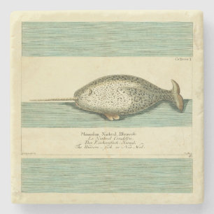 Narwhal Antiek walvis Waterverf Scientific Art Stenen Onderzetter