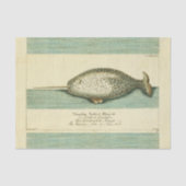 Narwhal Antiek walvis Waterverf Scientific Art Tissuepapier (Voorkant)