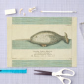 Narwhal Antiek walvis Waterverf Scientific Art Tissuepapier (Craft)