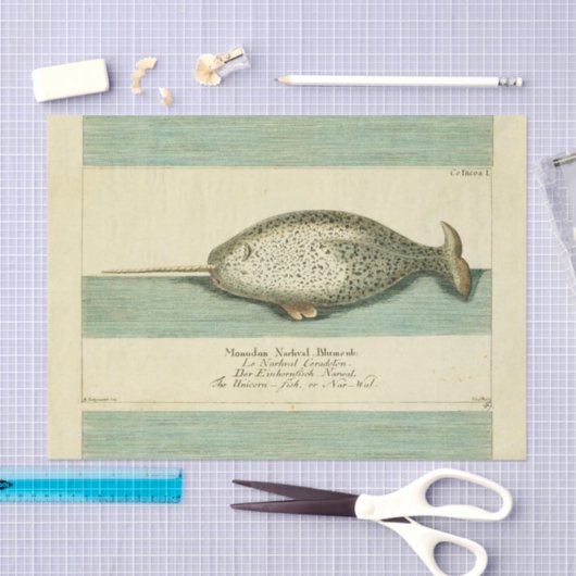 Narwhal Antiek walvis Waterverf Scientific Art Tissuepapier (Craft)