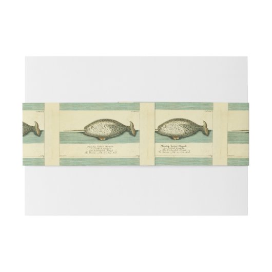 Narwhal Antiek walvis Waterverf Scientific Art Uitnodigingen Wikkel (Achterkant Voorbeeld)