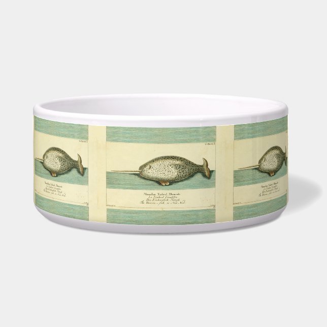 Narwhal Antiek walvis Waterverf Scientific Art Voerbakje (Voorkant)