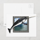 Narwhal Briefkaart (Voorkant / Achterkant)