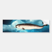 Narwhal Bumpersticker (Voorkant)