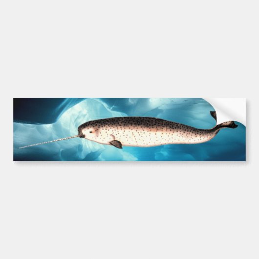 Narwhal Bumpersticker (Voorkant)