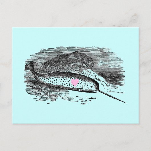 Narwhal Heart Briefkaart (Voorkant)