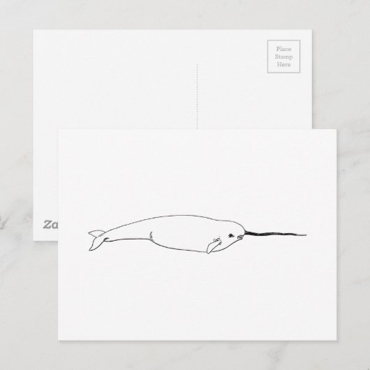 Narwhal (line art illustration) briefkaart (Voorkant / Achterkant)