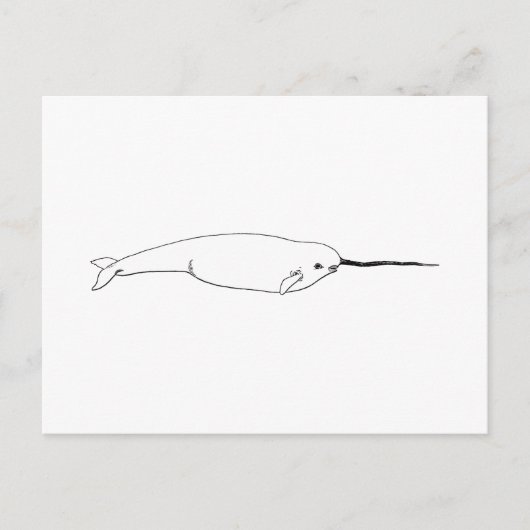 Narwhal (line art illustration) briefkaart (Voorkant)