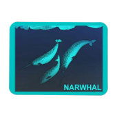 Narwhal Magneet (Horizontaal)