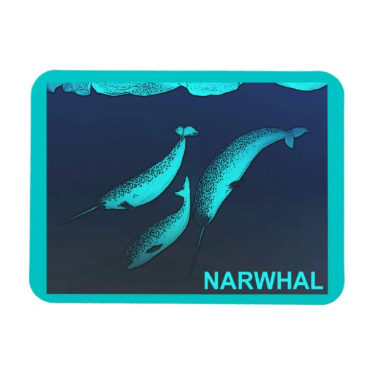 Narwhal Magneet (Horizontaal)