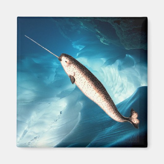 Narwhal Magnet (Voorkant)