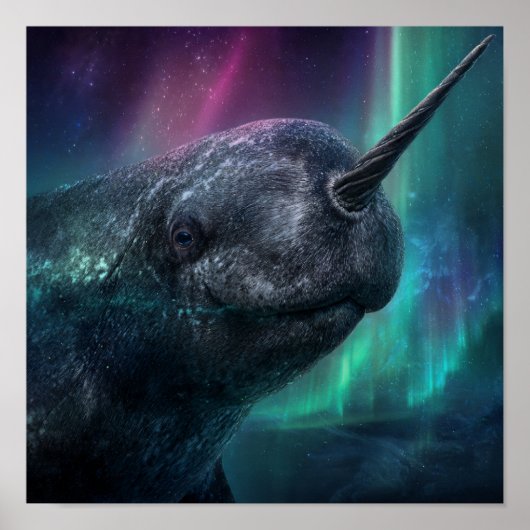 Narwhal Mystical Guardian - Noordelijke poolnacht Poster (Voorkant)