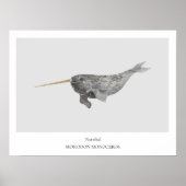 Narwhal Natuurhistorisch Poster (Voorkant)