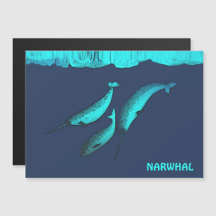Narwhal onder het ijs