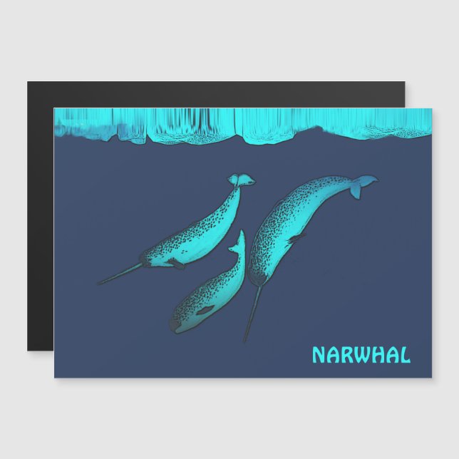 Narwhal onder het ijs (Voorkant / Achterkant)