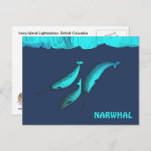 Narwhal onder het ijs briefkaart (Voorkant / Achterkant)
