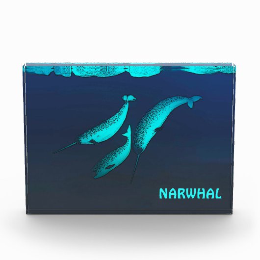 Narwhal onder het ijs fotoblokken (Voorkant)