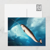Narwhal Postcards Briefkaart (Voorkant / Achterkant)